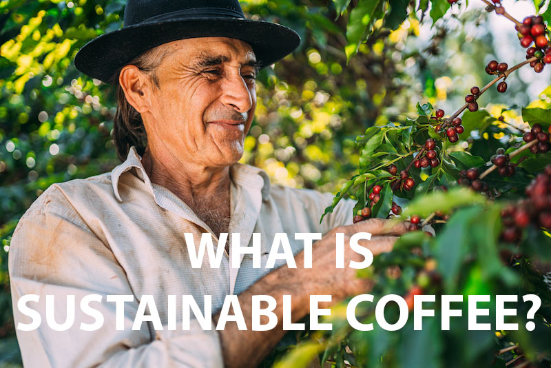 What Is Sustainable Coffee? How to Achieve Compliance